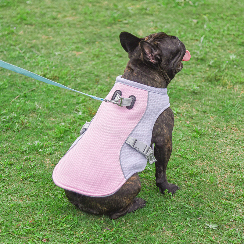 Chaleco refrescante para mascotas