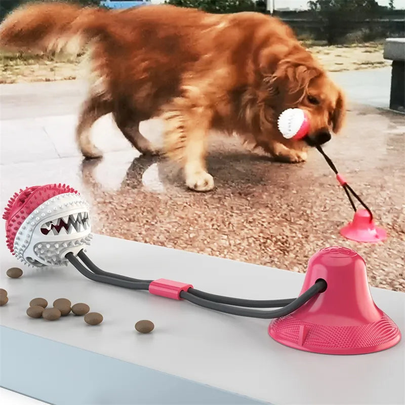 Juguete interactivo de ventosa para perros